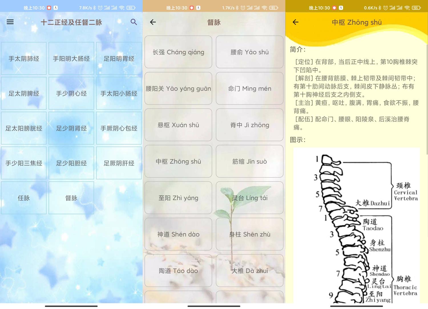 安卓人体穴位图解v3.1.4可离线版-趣奇资源网-第4张图片 安卓人体穴位图解v3.1.4可离线版-趣奇资源网-第4张图片